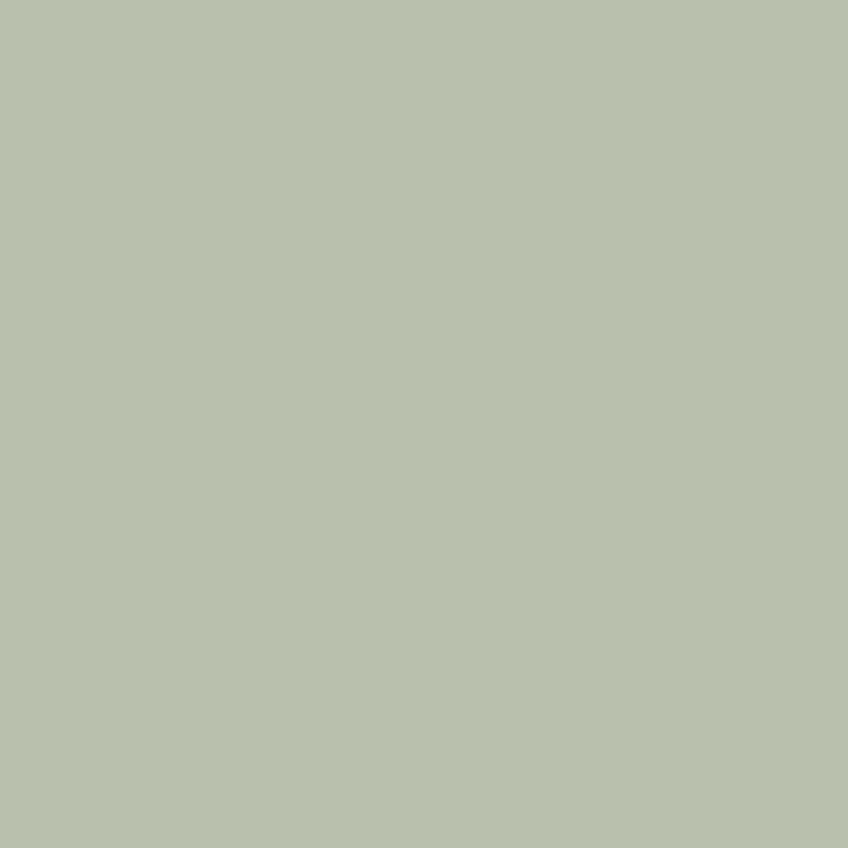 Aganthus Green 472